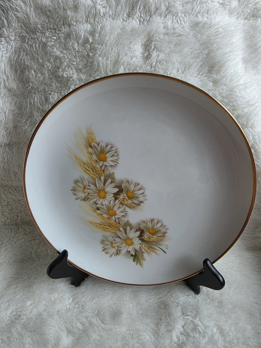 1 Vintage White Dinner Plate with Daisy Motif and Gold Trim